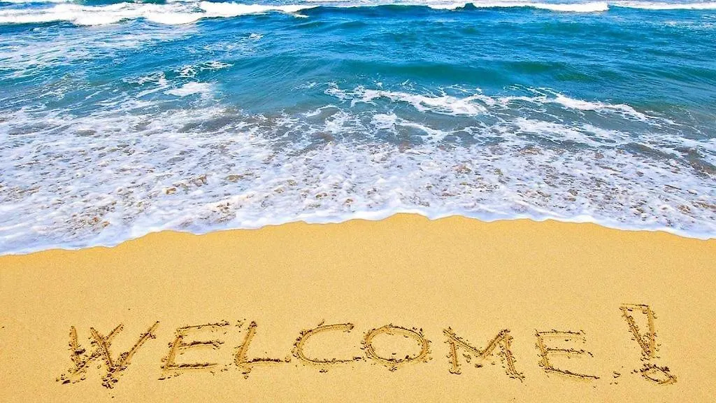 Apartment 14Th Floor 2 Bedroom Resort Condo Direct Oceanfront Wyndham Ocean Walk Resort Daytona Beach 1401